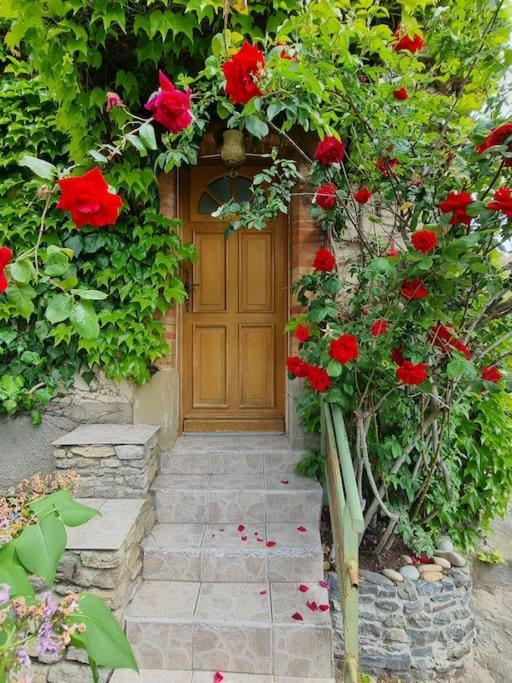 Maison Ideale Pour Une Famille Carcassonne Dış mekan fotoğraf